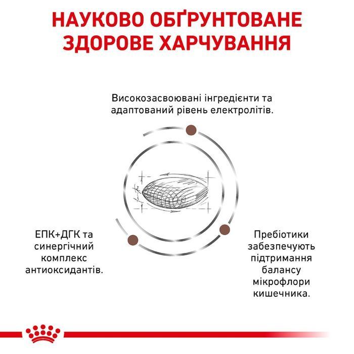 Cухой корм для собак Royal Canin Gastrointestinal Low Fat 6 кг - masterzoo.ua
