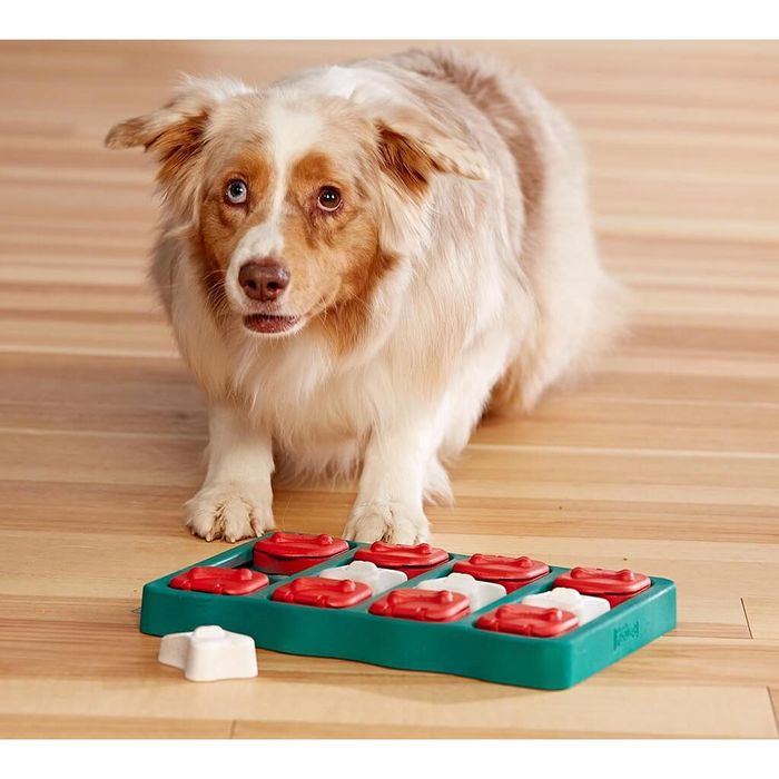 Интерактивная игрушка для собак Нина Оттоссон Outward «Дог Брик» 21 х 31 х 3 см - masterzoo.ua