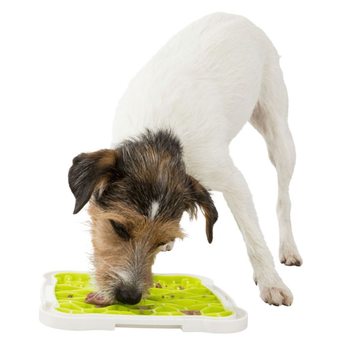 Миска-килимок Trixie Lick and Snack для повільного годування 20 х 20 см (салатовий) - masterzoo.ua
