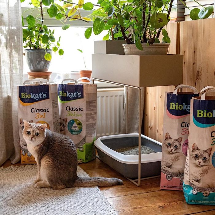 Наполнитель туалета для кошек Biokat's Bianco Fresh 10 кг (бентонитовый) - masterzoo.ua