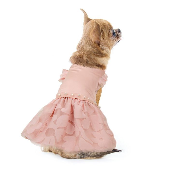 Сукня для собак Pet Fashion «Азалія» XS - masterzoo.ua