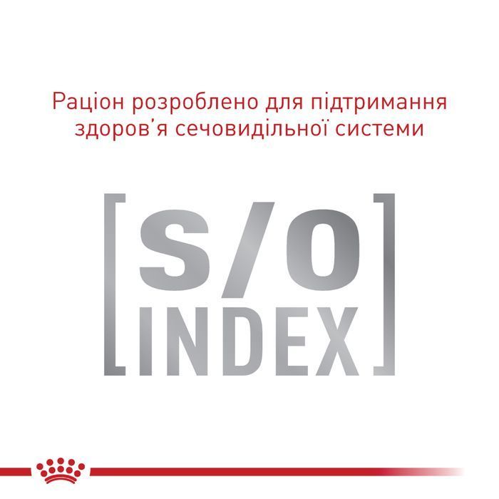 Сухий корм для котів Royal Canin Fussy Exigent 400 г - masterzoo.ua