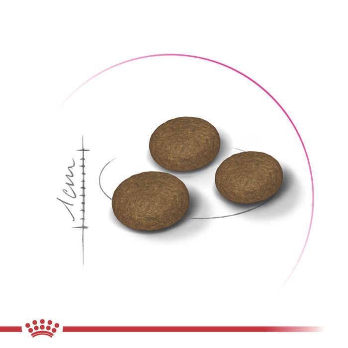 Сухий корм для котів Royal Canin Fussy Exigent 400 г - masterzoo.ua