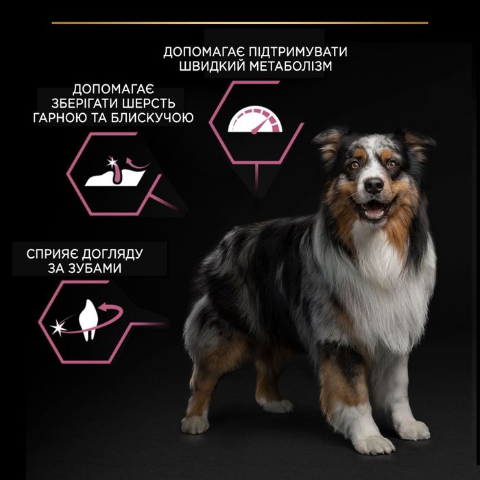 Сухий корм для цуценят Pro Plan Puppy Medium Sensitive Skin, 12 кг - лосось - masterzoo.ua