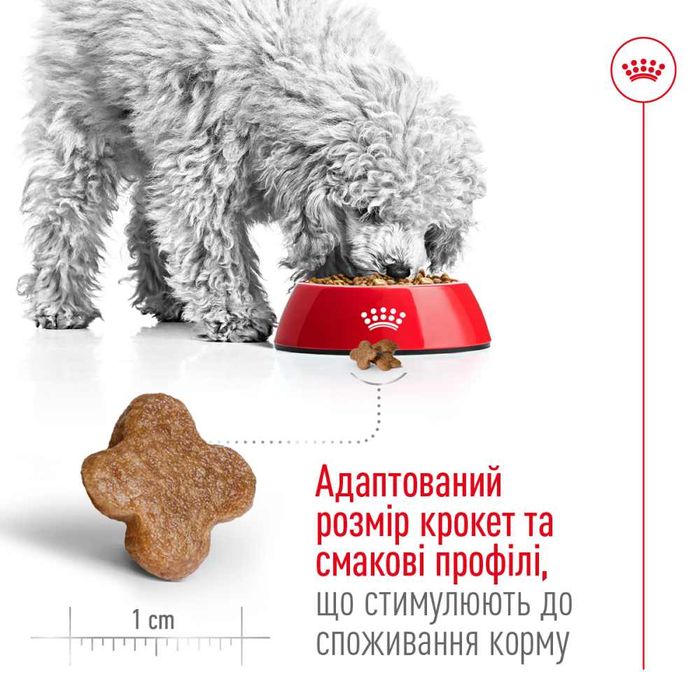 Сухий корм для собак Royal Canin Mini Adult 8+, 800 г - masterzoo.ua