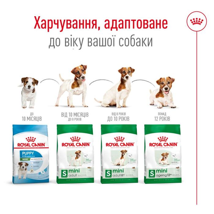 Сухой корм для собак Royal Canin Mini Adult 8+, 800 г - masterzoo.ua