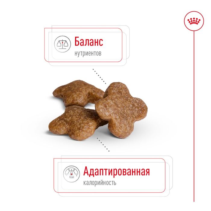 Сухий корм для собак Royal Canin Mini Adult 8+, 800 г - masterzoo.ua