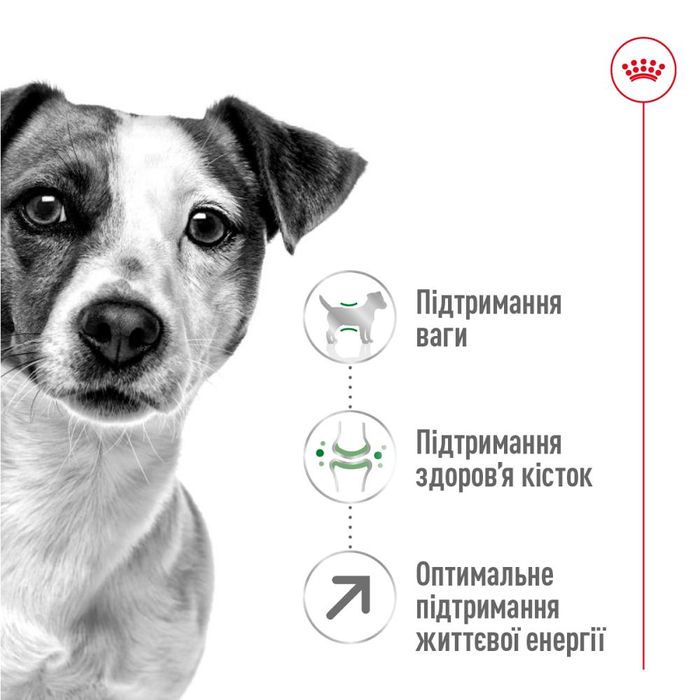 Сухий корм для собак Royal Canin Mini Adult 8+, 800 г - masterzoo.ua