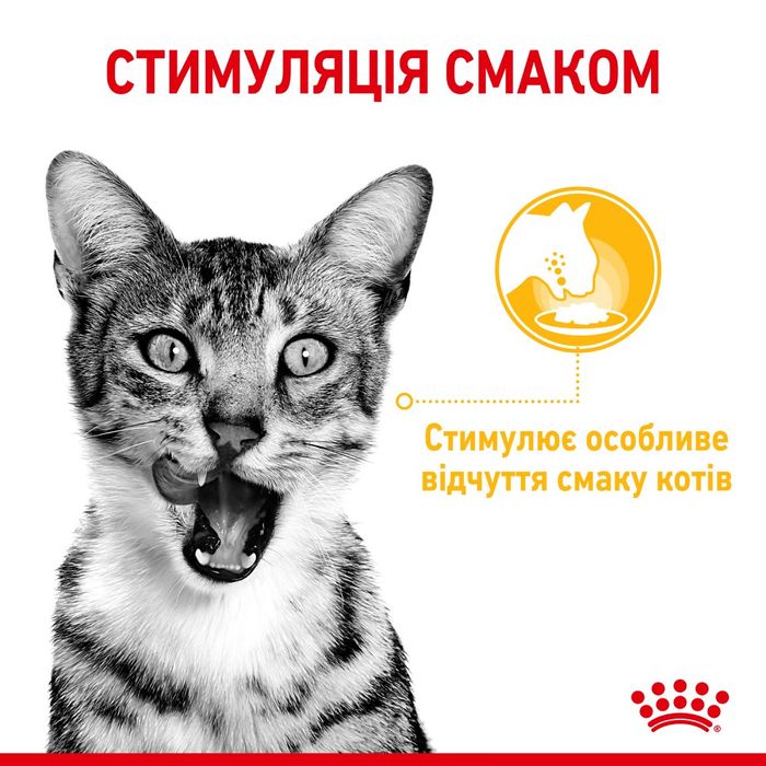 Вологий корм для вибагливих котів Royal Sensory Taste pouch в соусі 85 г - masterzoo.ua