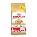 Набір сухого та вологого корму для котів Royal Canin British Shorthair Adult 2 кг + 4 шт х 85 г - masterzoo.ua
