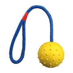 Іграшка для собак Trixie М'яч на мотузці з ручкою 30 см, d=6 см (гума, кольори в асортименті) - masterzoo.ua