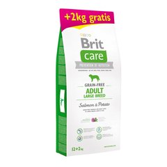 Сухий корм для дорослих собак великих порід (вагою від 25 кг) Brit Care GF Large Breed Adult Salmon & Potato 12+2 kg (лосось) - masterzoo.ua