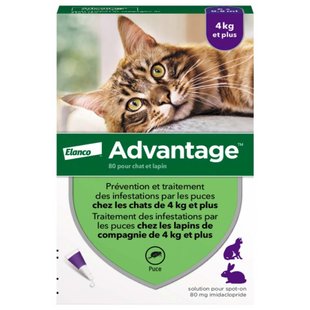 Капли на холку Elanco Bayer Advantage от 4 до 8 кг, 1 пипетка - masterzoo.ua