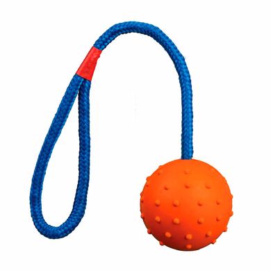 Іграшка для собак Trixie М'яч на мотузці з ручкою 30 см, d=6 см (гума, кольори в асортименті) - masterzoo.ua