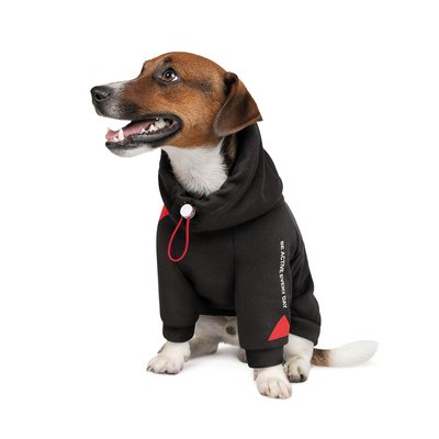 Худи для собак Pet Fashion «Snoodie» S-M (черный) - masterzoo.ua