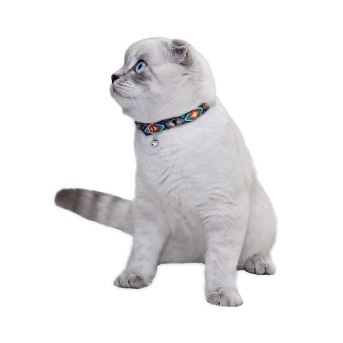 Barksi Urban Ромбы нейлоновый ошейник для кошек XS - разноцветный - masterzoo.ua