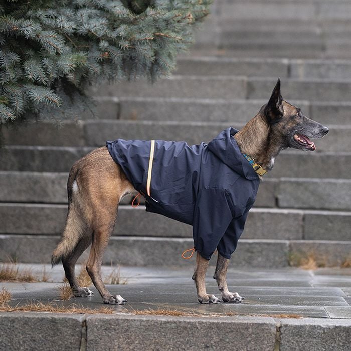 Дождевик для собак Noble Pet Moss L - masterzoo.ua