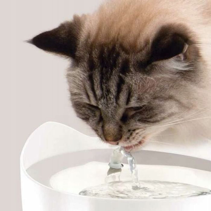 Поилка-фонтан Catit для кошек Pixi нержавеющая сталь 2,5 л - masterzoo.ua