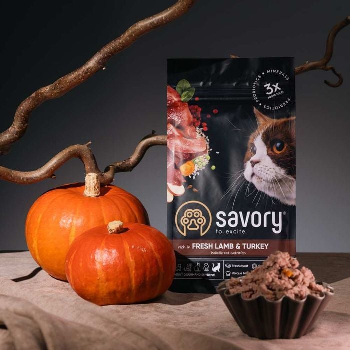 Сухий корм для котів Savory Sensitive Digestion Fresh Adult 2 кг - ягня та індичка - masterzoo.ua