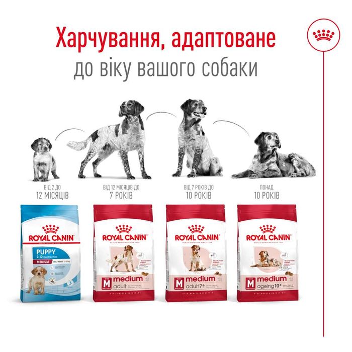 Сухий корм для собак Royal Canin Medium Adult 7+, 4 кг - masterzoo.ua