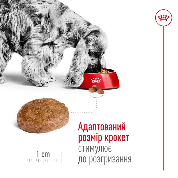 Сухий корм для собак Royal Canin Medium Adult 7+, 4 кг - masterzoo.ua