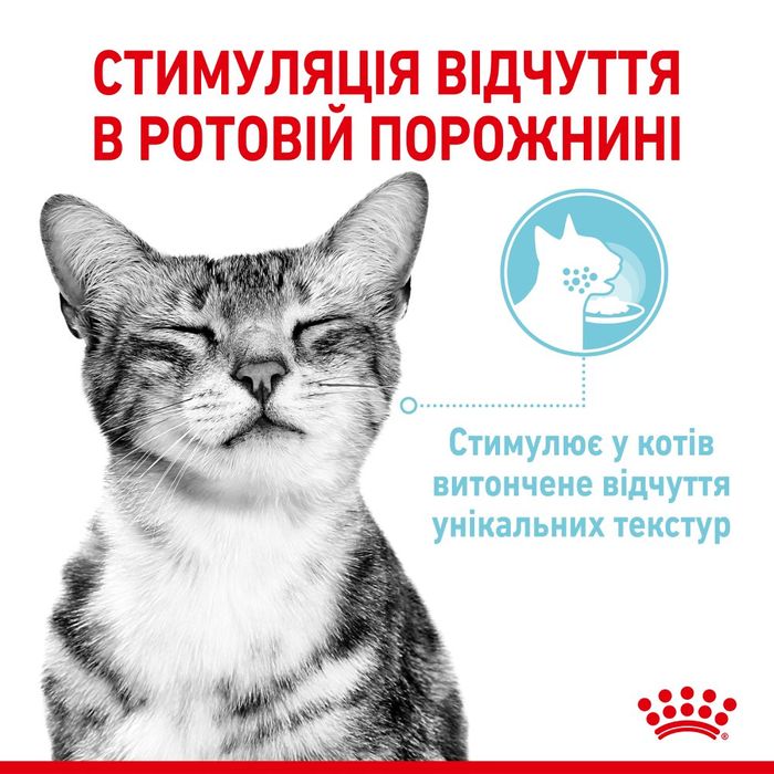 Влажный корм для кошек для стимуляции тактильных рецепторов ротовой полости Royal Sensory Feel pouch в соусе 85 г - masterzoo.ua