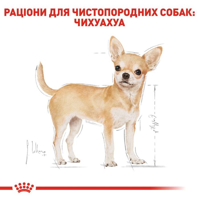 Вологий корм для дорослих собак породи чихуахуа Royal Canin Chihuahua Adult pouch 85 г - домашня птиця - masterzoo.ua