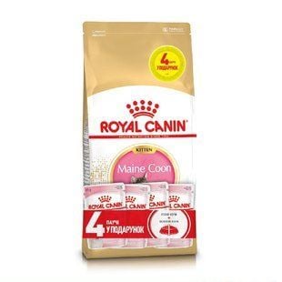 Набор сухого и влажного корма для котят Royal Canin Kitten Maine Coon 2 кг + 4 шт х 85 г - masterzoo.ua