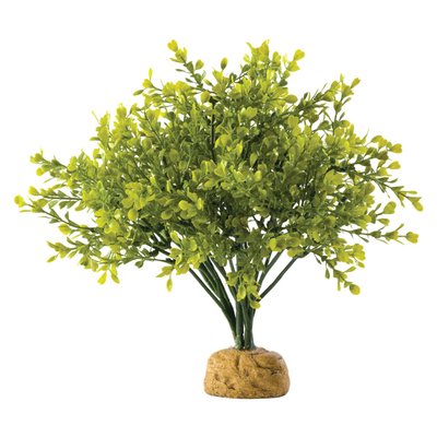 Декорація для тераріума Exo Terra рослина на підставці «Boxwood Bush» - masterzoo.ua
