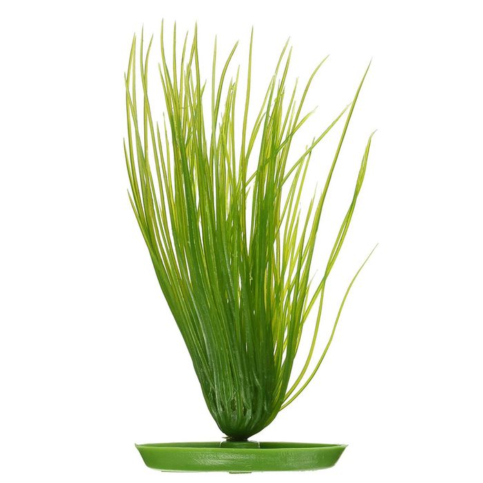 Декорация для аквариума Marina AquaScaper растение «Hairgrass» 20 см (пластик) - masterzoo.ua