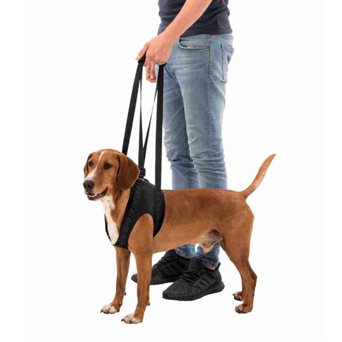 Поддерживающая шлейка для собак до 35 кг Trixie 65-75 см L (чёрная) - masterzoo.ua