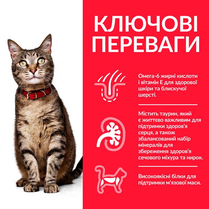 Сухий корм для дорослих котів Hills SP Fel Adult 1-6 OptCare 300 г - курка - masterzoo.ua