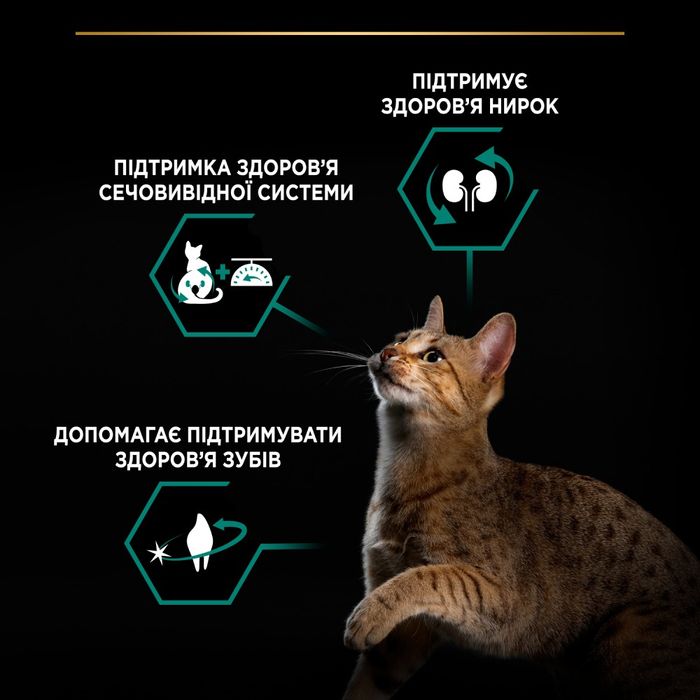 Сухий корм для стерилізованих котів Pro Plan Sterilised Adult 1+ Renal Plus 1,5 кг - індичка - masterzoo.ua