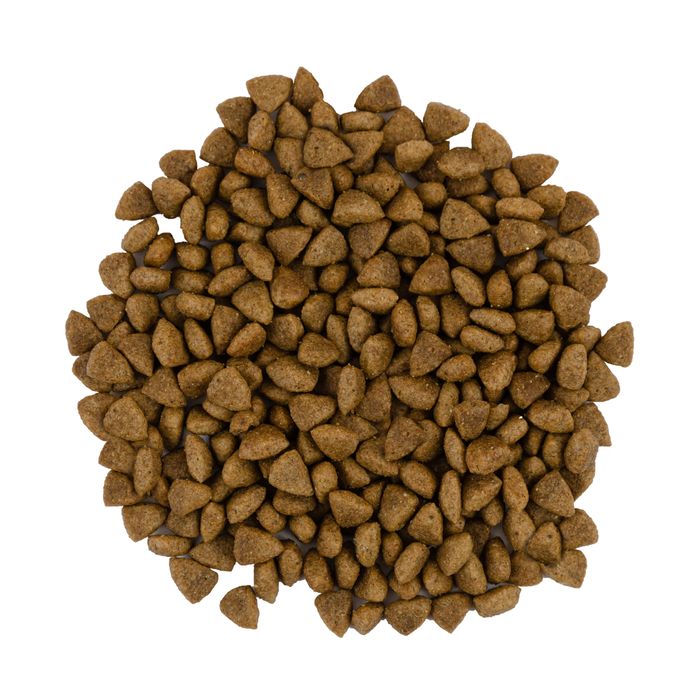Сухой корм для кошек с чувствительным пищеварением Savory 8 кг (ягненок и индейка) - masterzoo.ua