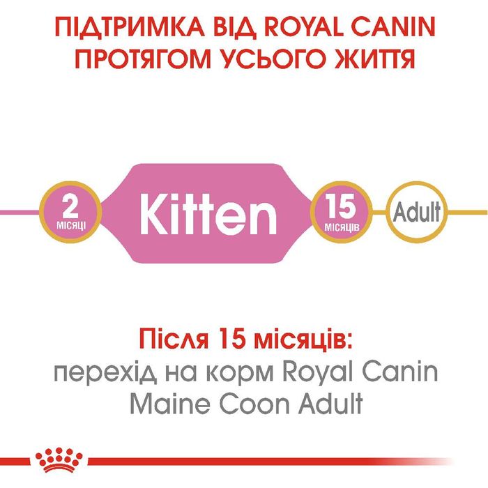 Сухой корм для котят породы мейн-кун Royal Canin Kitten Maine Coon 2 кг (домашняя птица) - masterzoo.ua