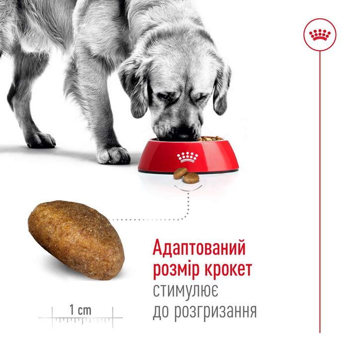 Сухой корм для собак Royal Canin Maxi Adult 15 кг - masterzoo.ua