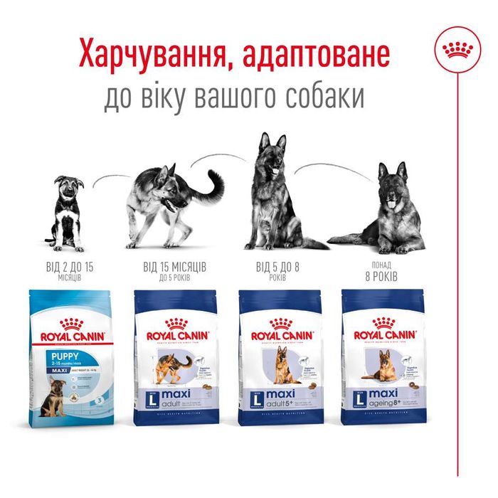 Сухой корм для собак Royal Canin Maxi Adult 15 кг - masterzoo.ua