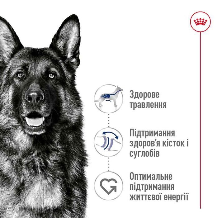 Сухий корм для собак Royal Canin Maxi Adult 15 кг - masterzoo.ua