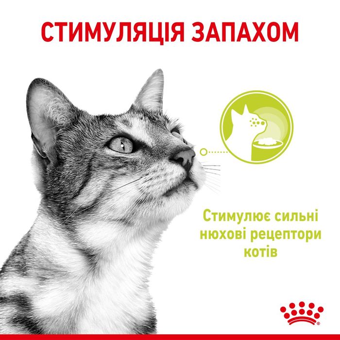 Вологий корм для вибагливих до запаху котів Royal Sensory Smell pouch в желе 85 г - masterzoo.ua