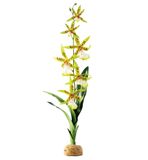 Декорация для террариума Exo Terra растение на подставке «Spider Orchid»