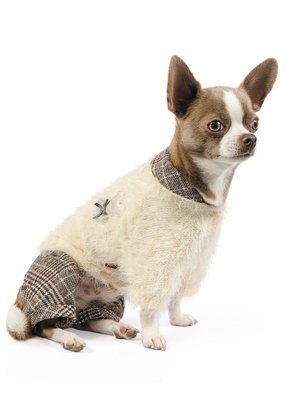 Костюм для собак Pet Fashion «Флер» XS-2 - masterzoo.ua