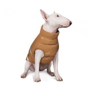 Жилет для собак Pet Fashion Big Boss 4XL - masterzoo.ua