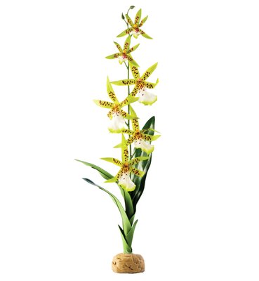 Декорация для террариума Exo Terra растение на подставке «Spider Orchid» - masterzoo.ua
