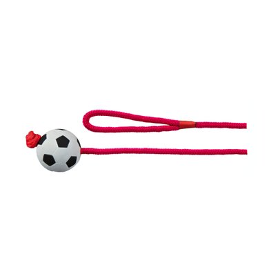 Іграшка для собак Trixie М'яч на мотузці з ручкою 1 м, d=6 см (спінена гума) - masterzoo.ua