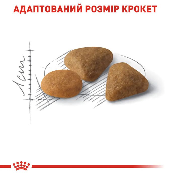 Сухий корм для котів Royal Canin Exigent Savour 4 кг - домашня птиця + Catsan 5 л - masterzoo.ua