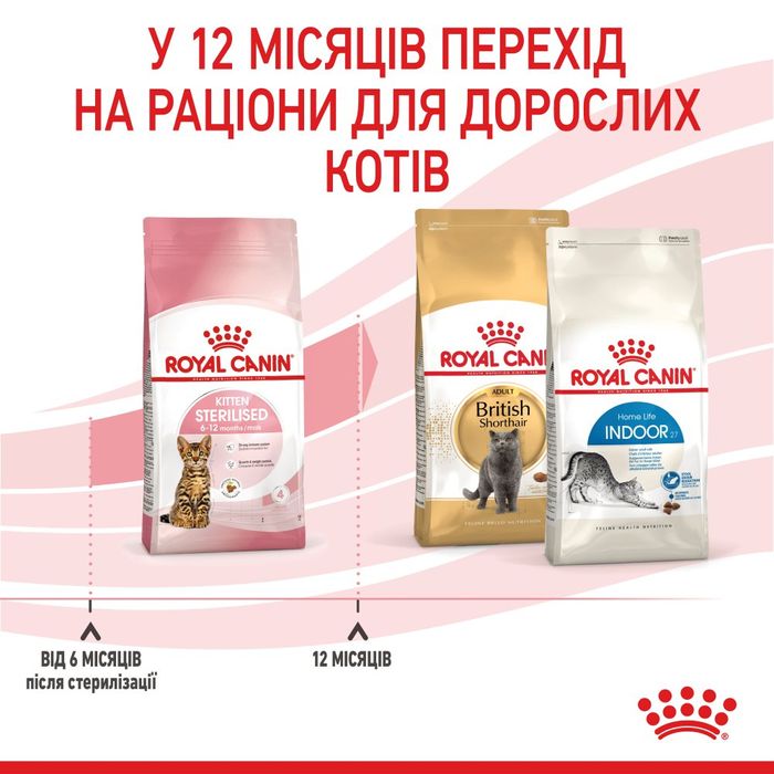 Набор корма для котят Royal Canin Kitten Sterilised 2 кг + 4 pouch - домашняя птица - masterzoo.ua