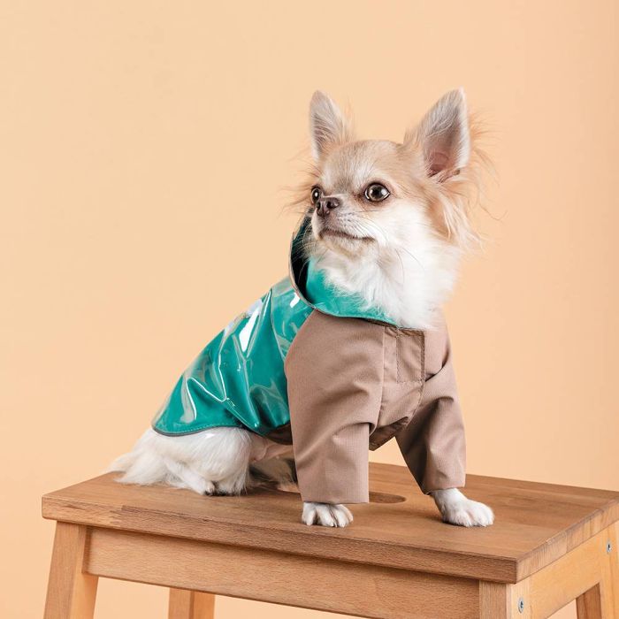 Дождевик для собак Pet Fashion Semmy XS - masterzoo.ua