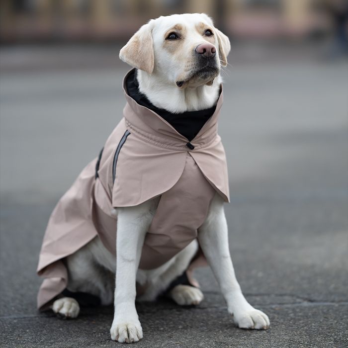 Noble Pet Rio дощовик для собак XL - masterzoo.ua
