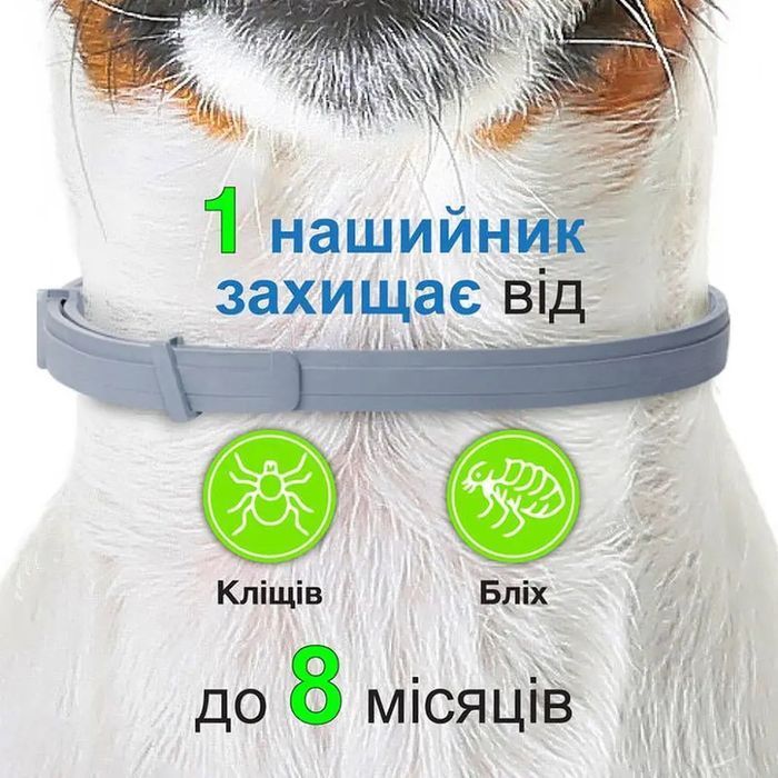 Нашийник Elanco Bayer Foresto проти паразитів для собак 70 см - сірий - masterzoo.ua