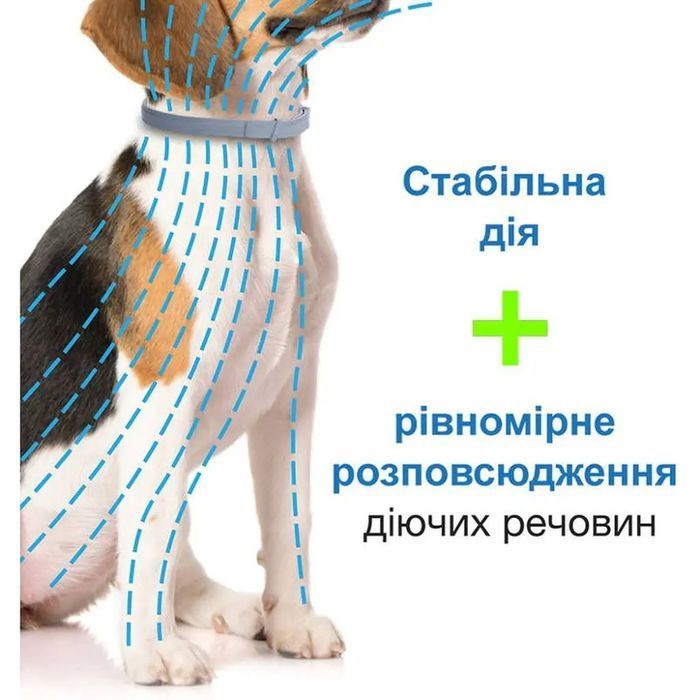 Нашийник Elanco Bayer Foresto проти паразитів для собак 70 см - сірий - masterzoo.ua